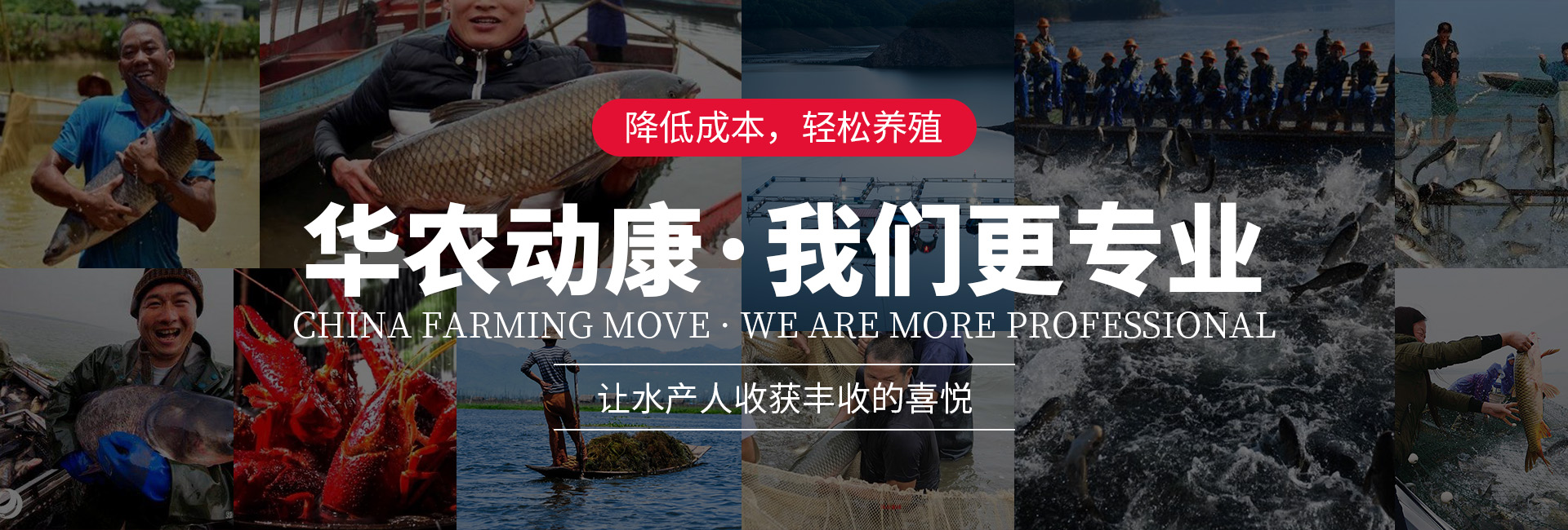 凯发k8国际首页登录bannner图