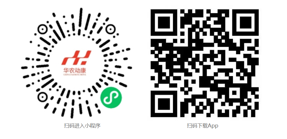 凯发k8国际首页登录App下载和微信小程序二维码